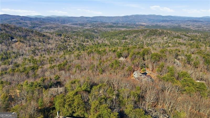 1343 McElroy Mountain Drive Jasper - Photo 89