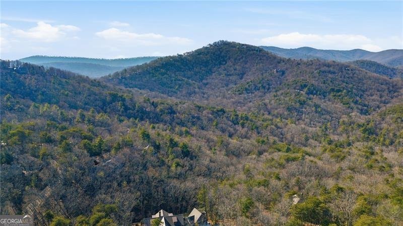 1343 McElroy Mountain Drive Jasper - Photo 93