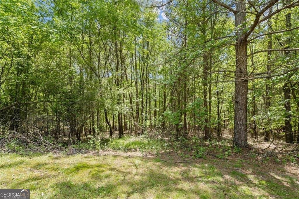 16160 Henderson Road Milton - Photo 40