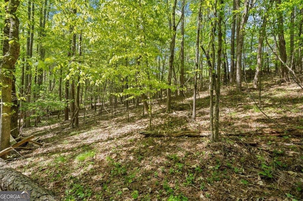 16160 Henderson Road Milton - Photo 41