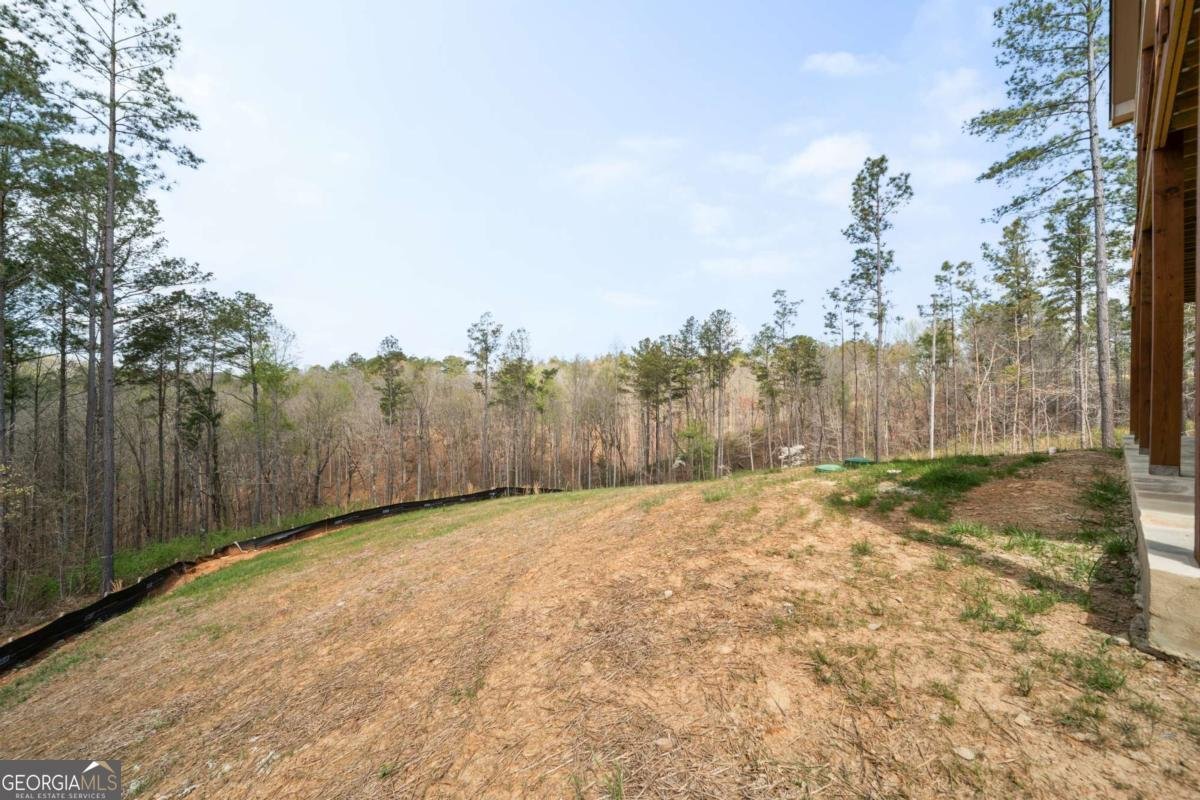 2956 Blalock Mountain Road Talking Rock - Photo 30