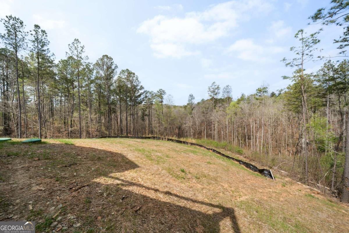 2956 Blalock Mountain Road Talking Rock - Photo 31