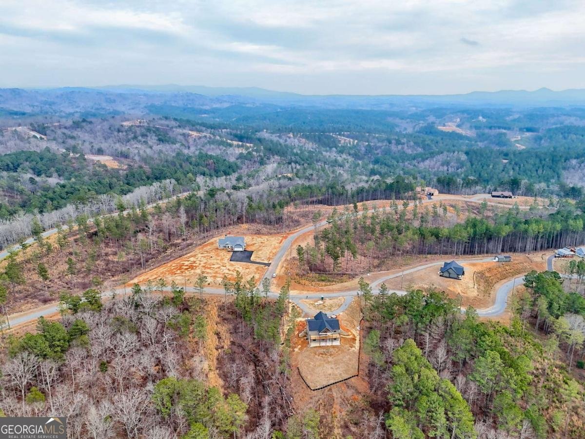 2956 Blalock Mountain Road Talking Rock - Photo 51