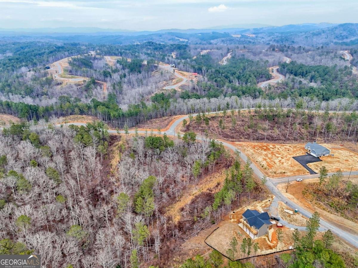 2956 Blalock Mountain Road Talking Rock - Photo 52
