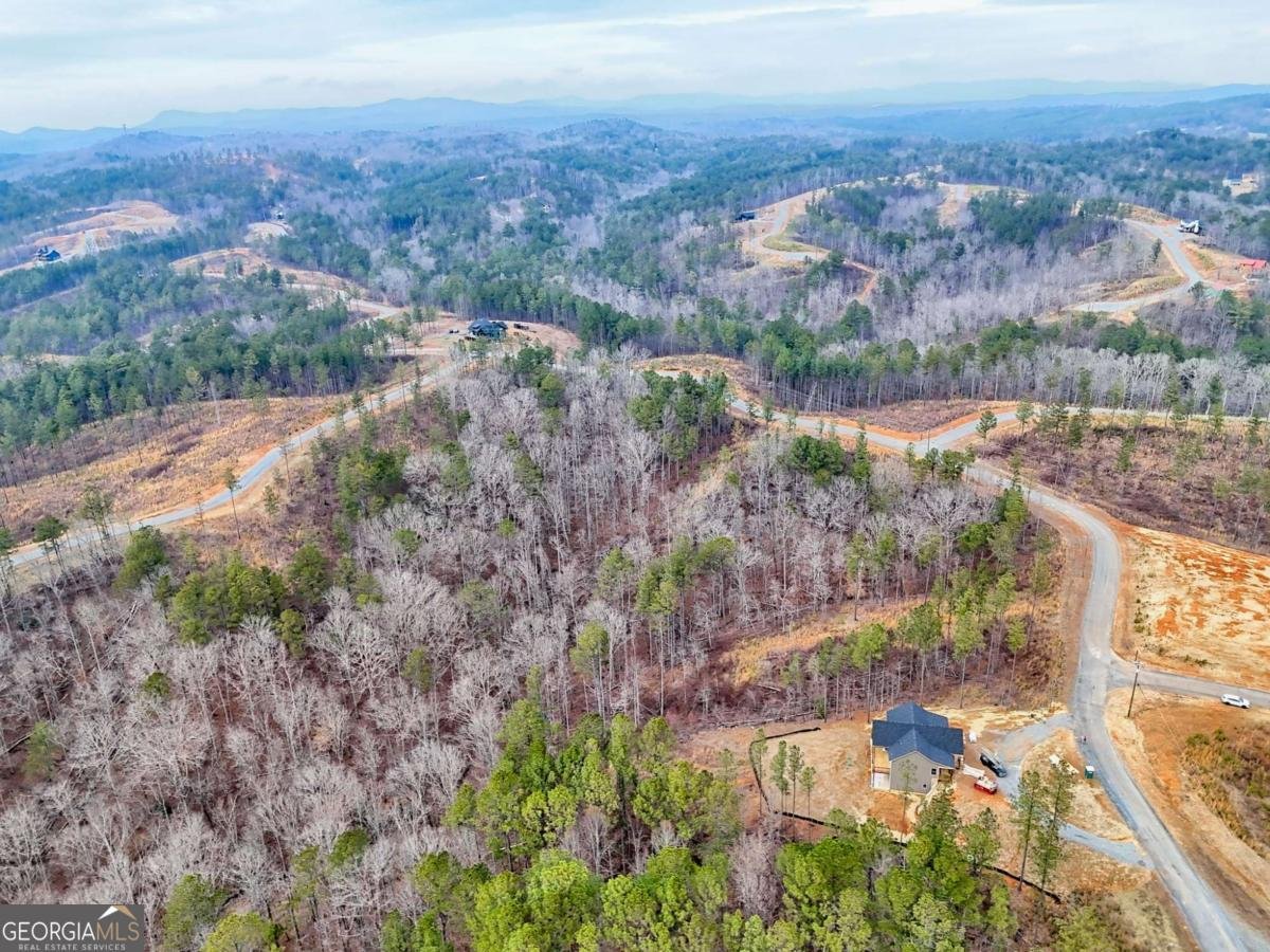2956 Blalock Mountain Road Talking Rock - Photo 53