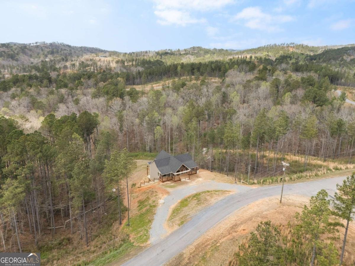 2956 Blalock Mountain Road Talking Rock - Photo 56
