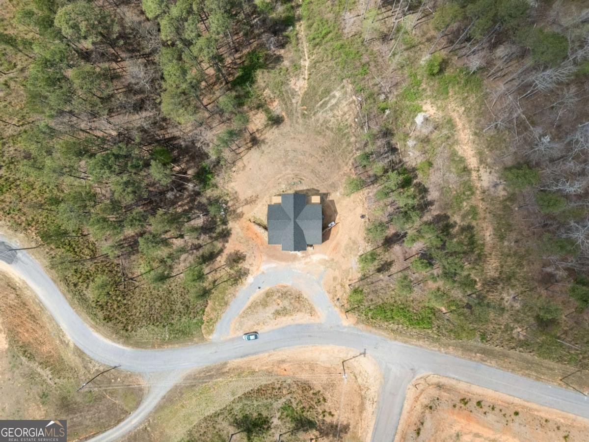 2956 Blalock Mountain Road Talking Rock - Photo 59