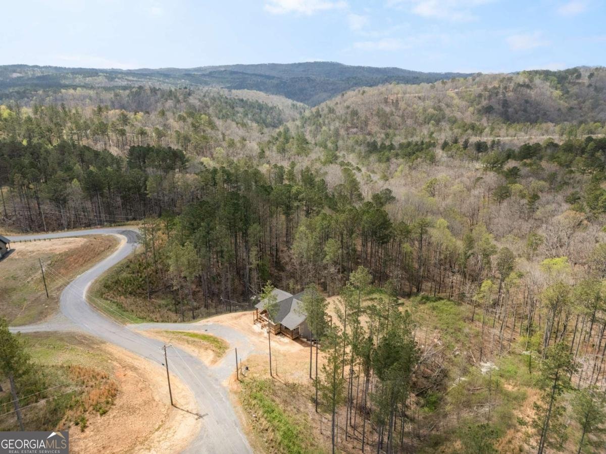 2956 Blalock Mountain Road Talking Rock - Photo 7
