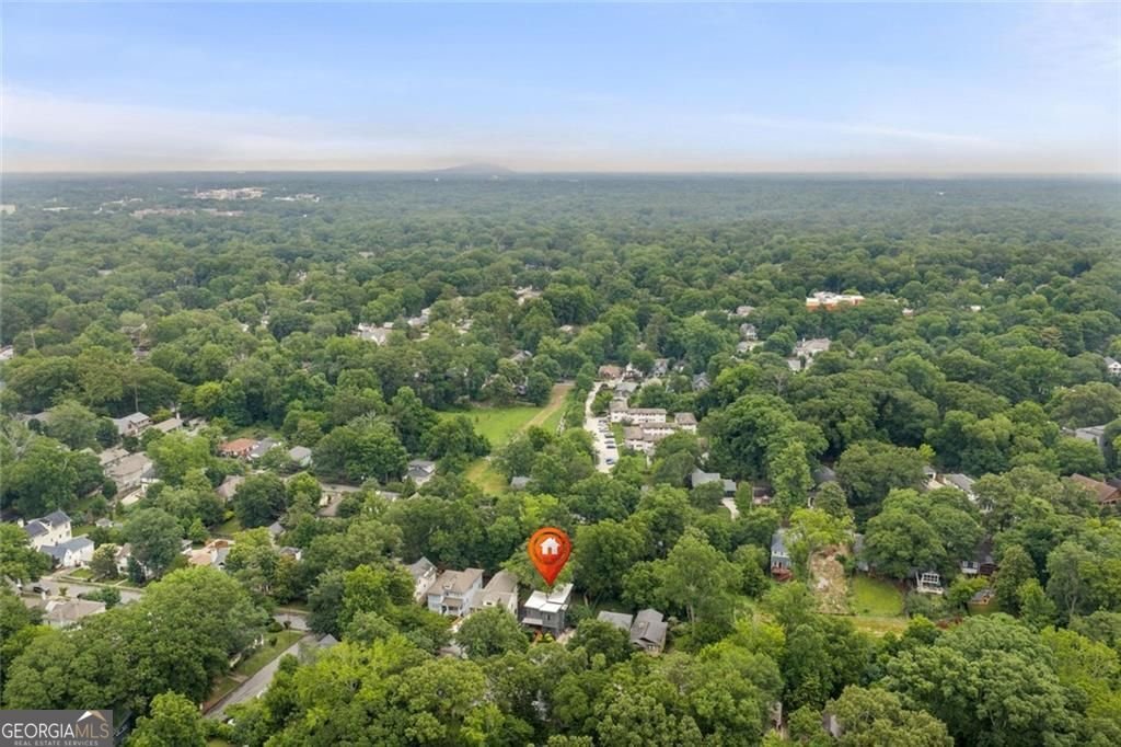 316 Madison Avenue Decatur - Photo 56