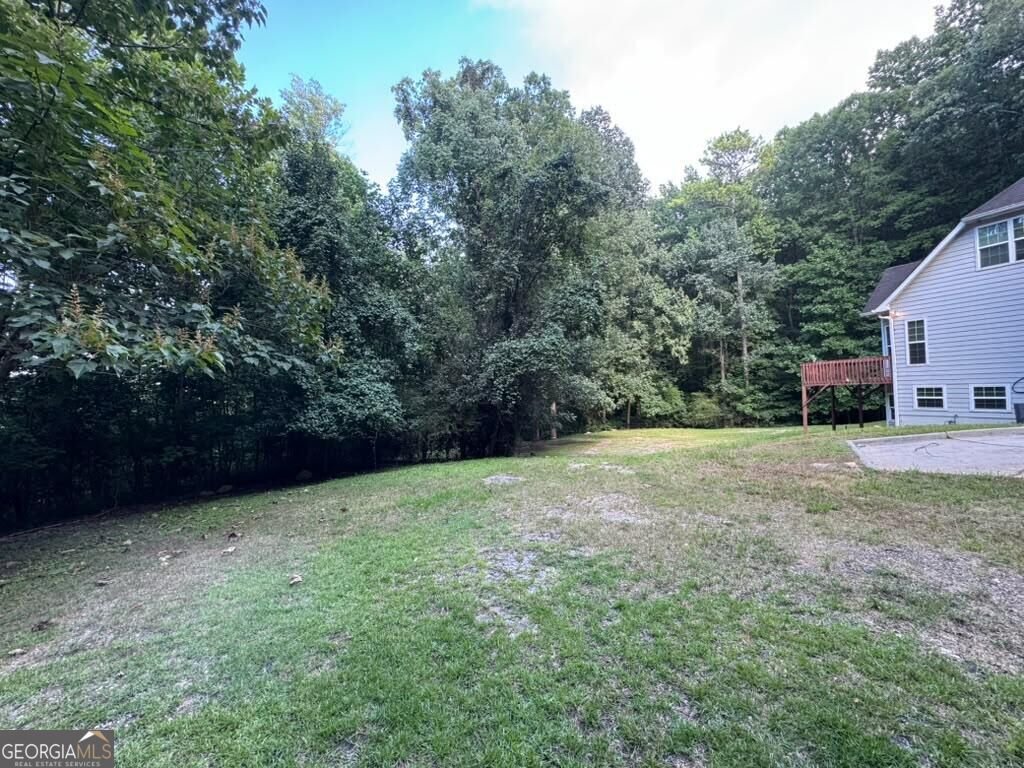 4030 Weelaunee Road Ellenwood - Photo 25