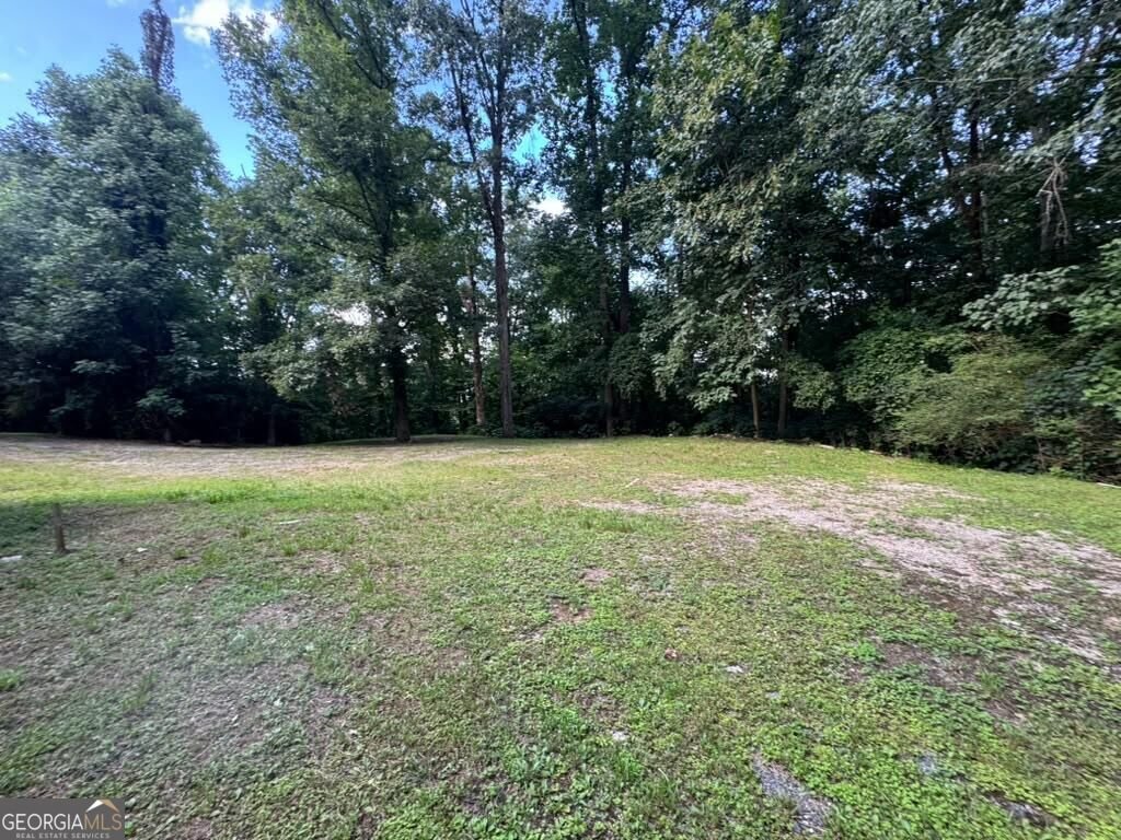 4030 Weelaunee Road Ellenwood - Photo 26