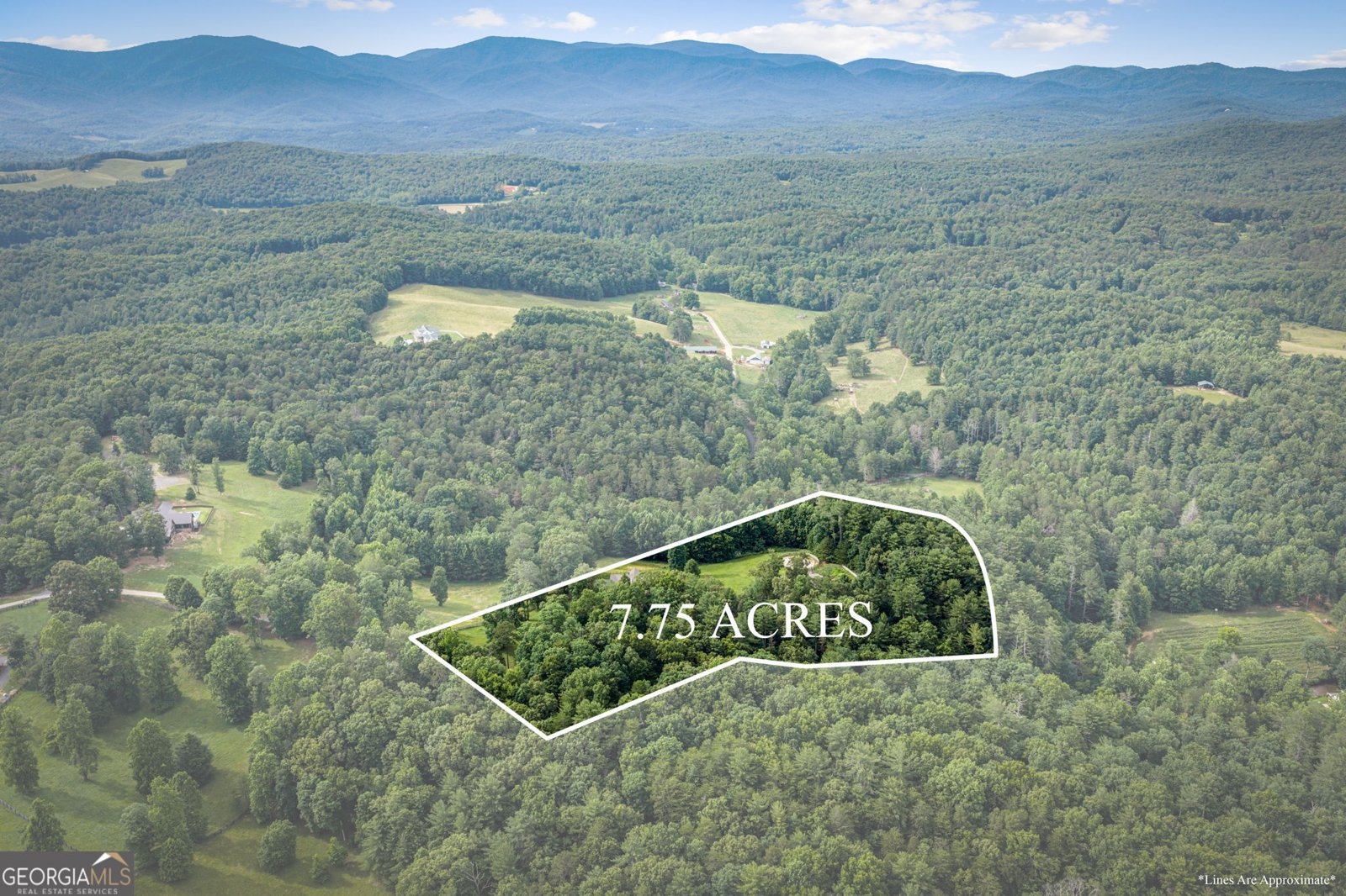 290 Old Anderson Creek Road Ellijay - Photo 83