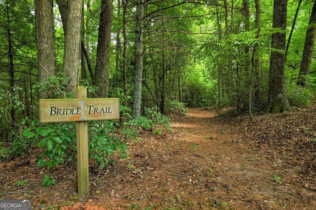 290 Old Anderson Creek Road Ellijay - Photo 84