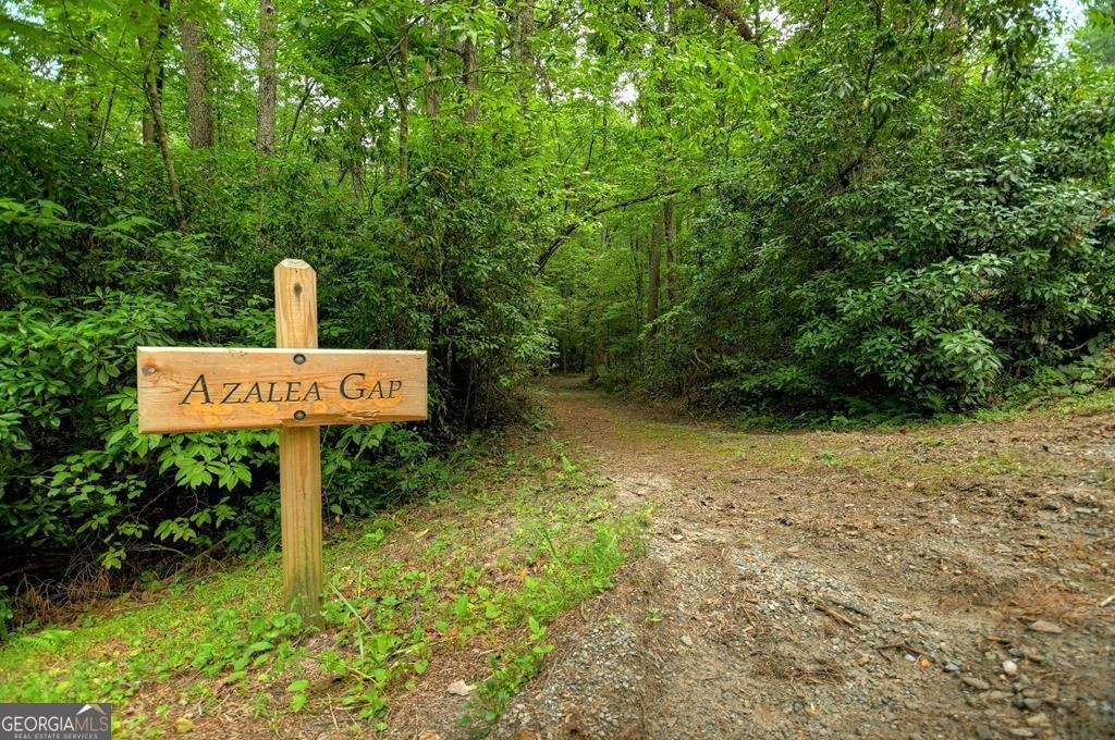 290 Old Anderson Creek Road Ellijay - Photo 91