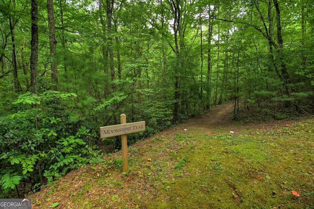 290 Old Anderson Creek Road Ellijay - Photo 92