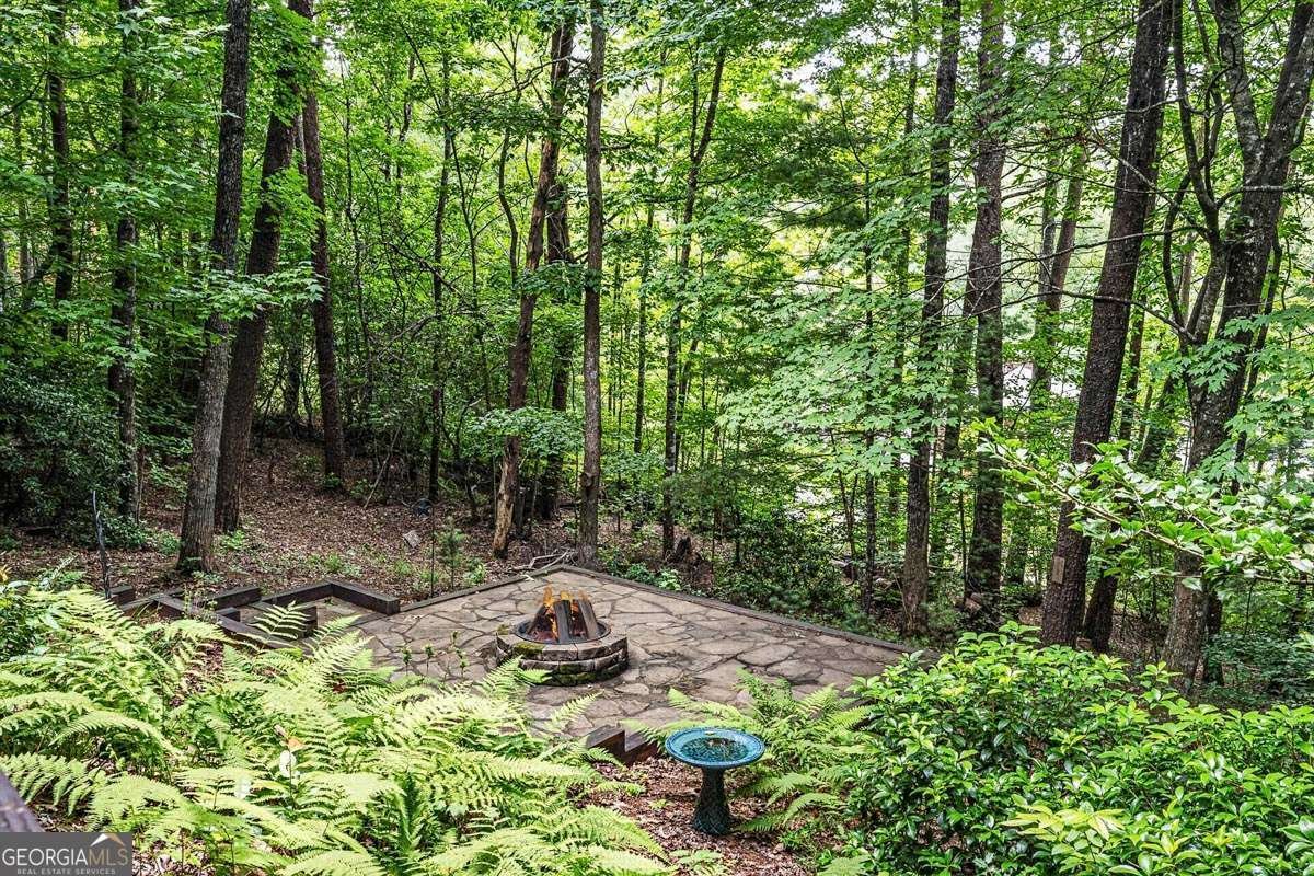 115 Lakota Trail Blue Ridge - Photo 41