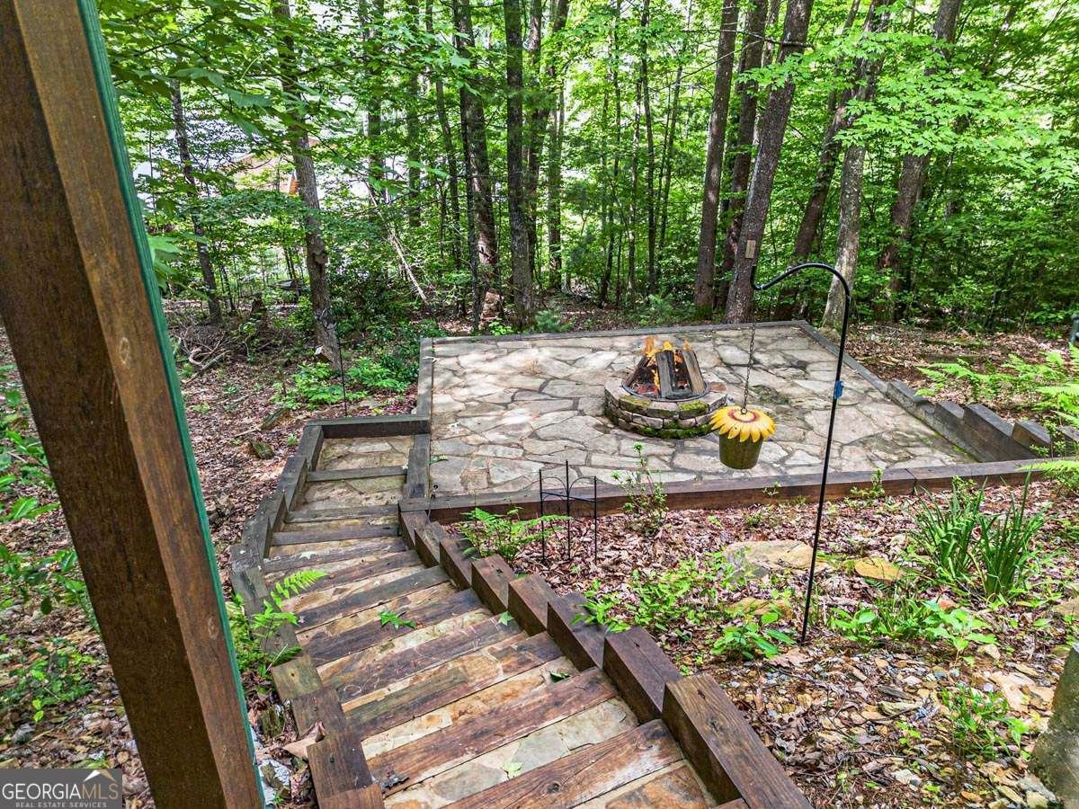 115 Lakota Trail Blue Ridge - Photo 43