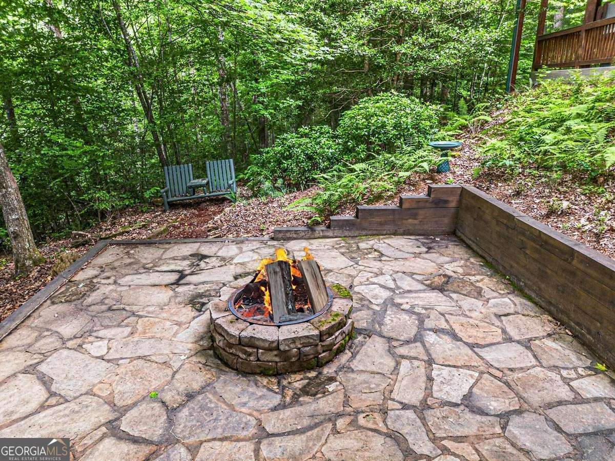115 Lakota Trail Blue Ridge - Photo 44