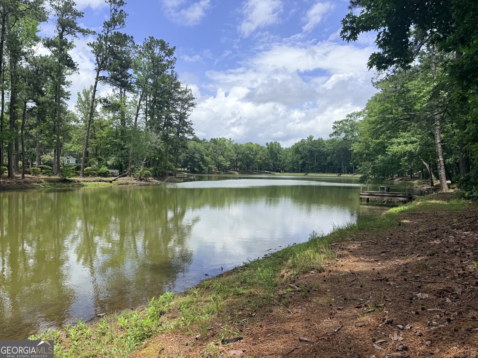 75 Alpine Drive Pine Mountain - Photo 6