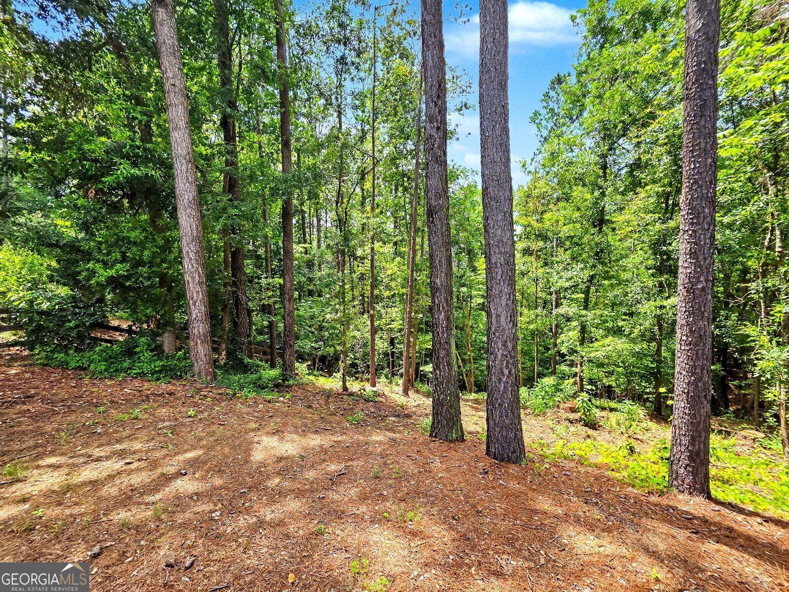 1345 Bentwater Drive Acworth - Photo 41