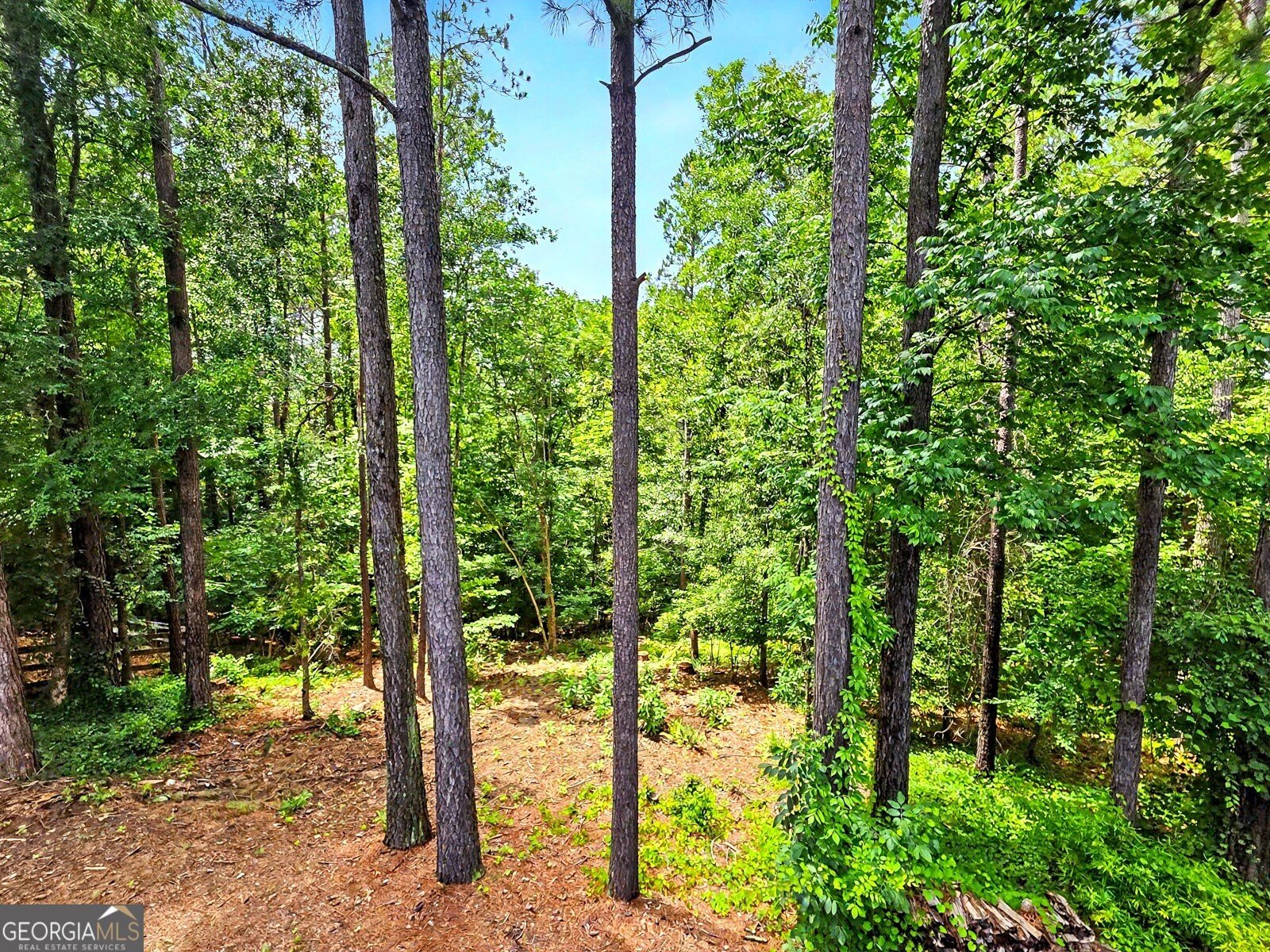 1345 Bentwater Drive Acworth - Photo 46
