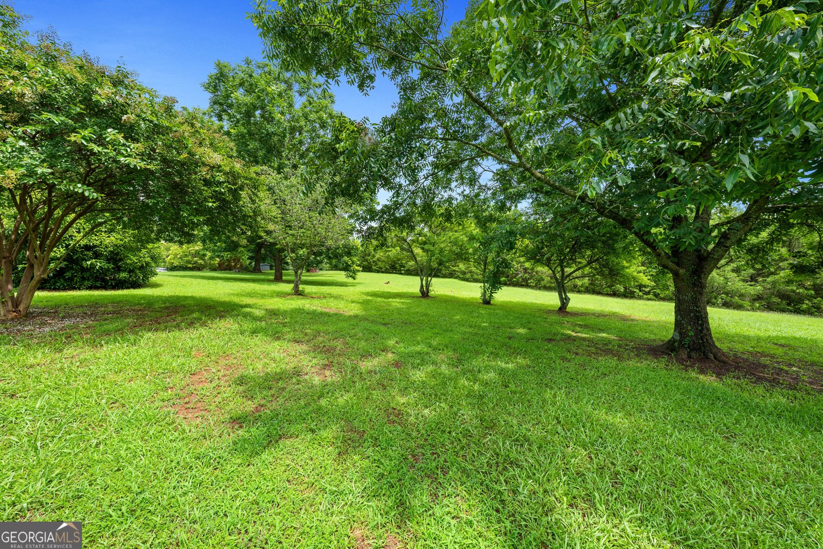 81 Valley Road Colbert - Photo 40