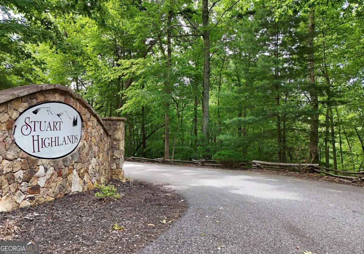 901 Stuart Mountain Road Mineral Bluff - Photo 41