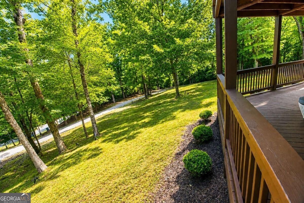901 Stuart Mountain Road Mineral Bluff - Photo 79
