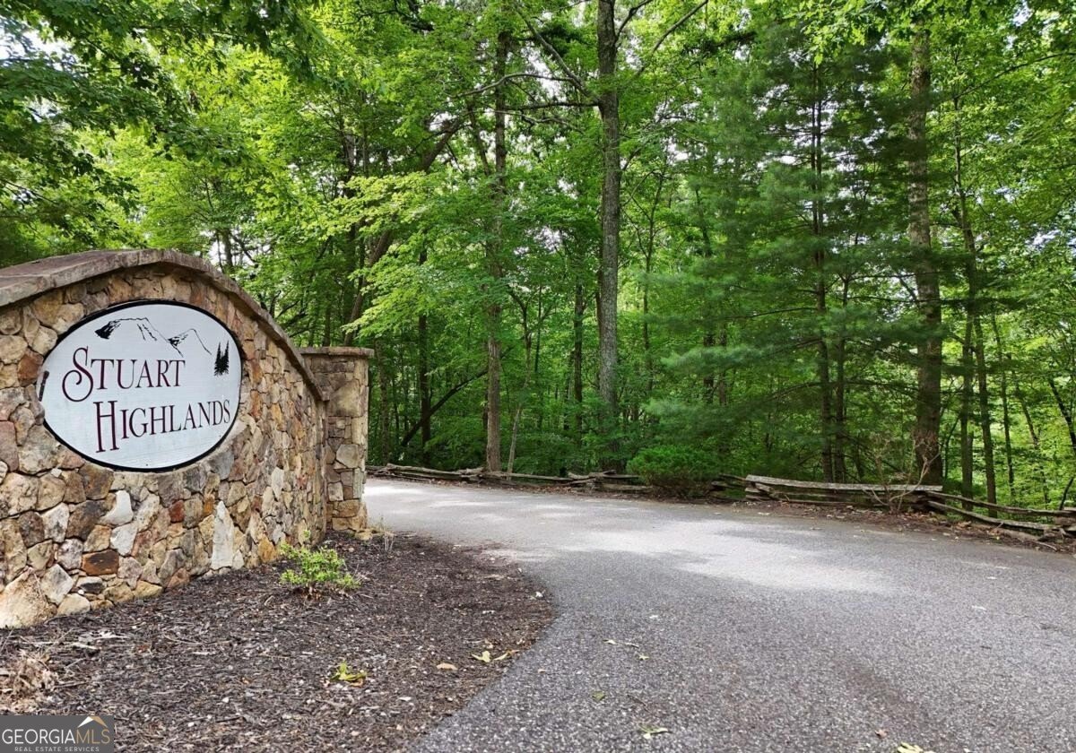 901 Stuart Mountain Road Mineral Bluff - Photo 82