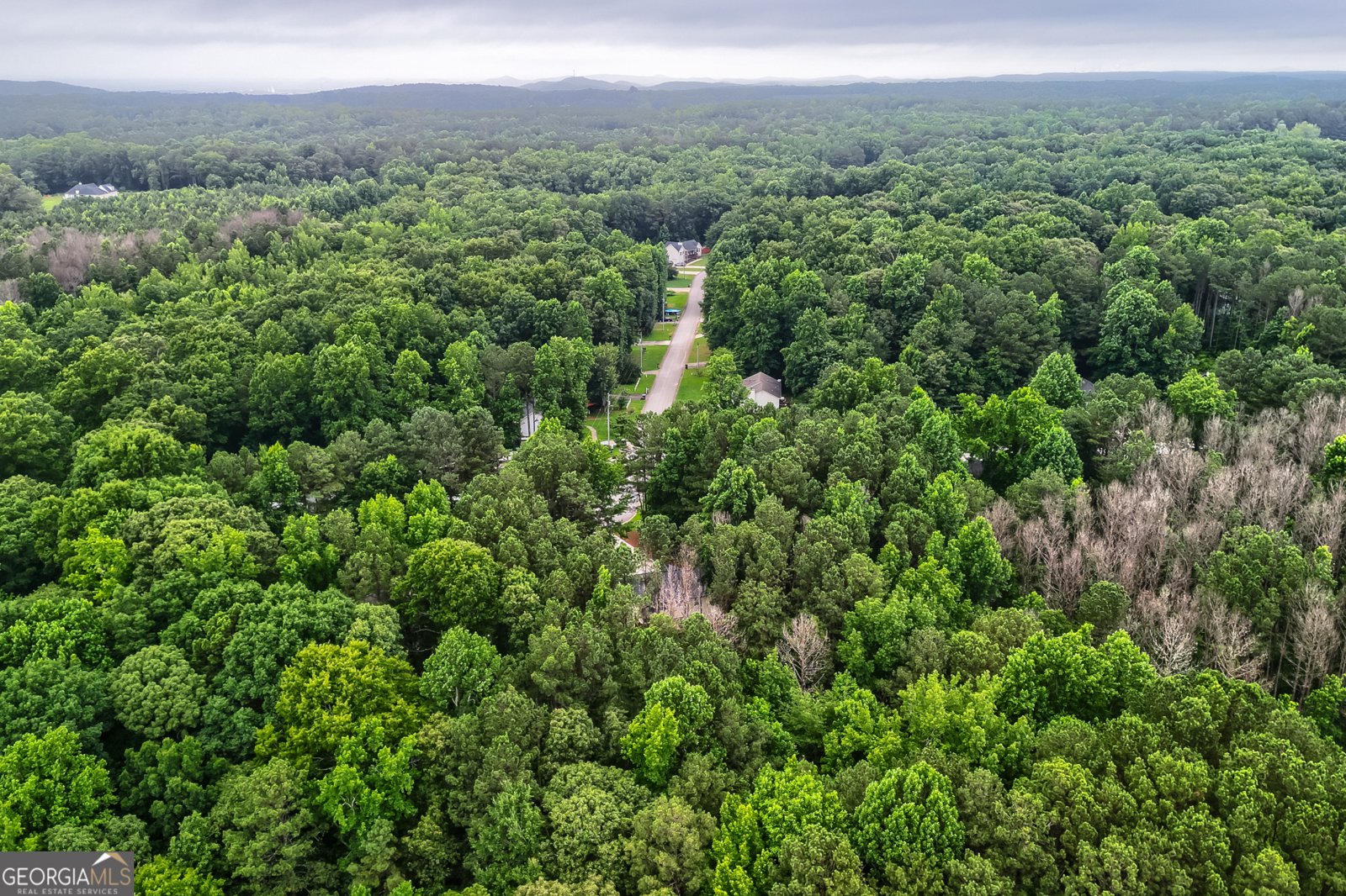 277 Chipper Lane Rockmart - Photo 8