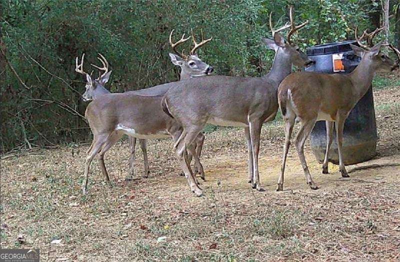 267 Hammond Road Calhoun - Photo 57
