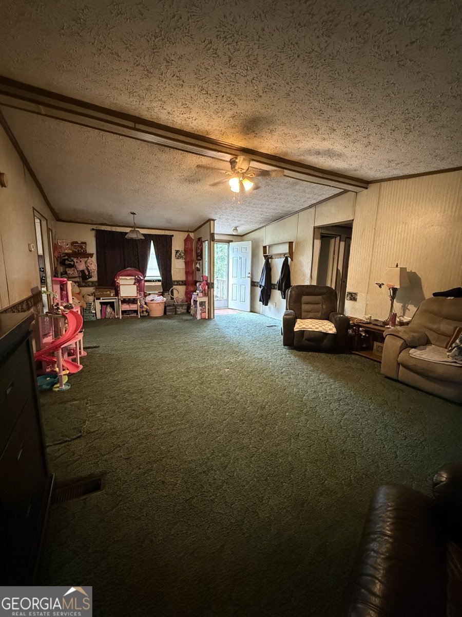 2535 Ga Highway 80 Adrian - Photo 12