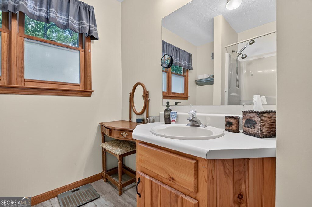 388 Walnut Ridge Ellijay - Photo 17