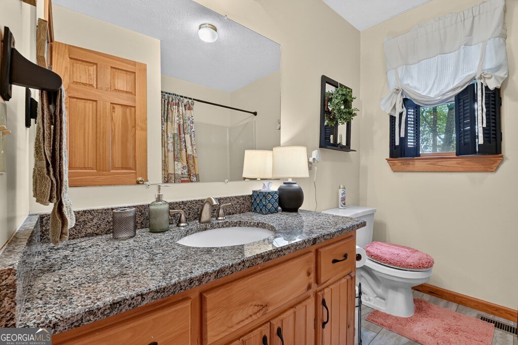 388 Walnut Ridge Ellijay - Photo 21
