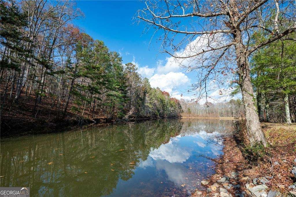 201 Talona Lake Terrace Ellijay - Photo 31