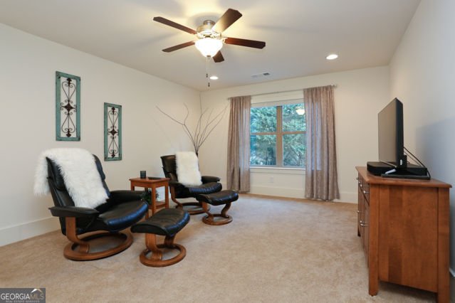 4291 Sierra Creek Court Hoschton - Photo 45