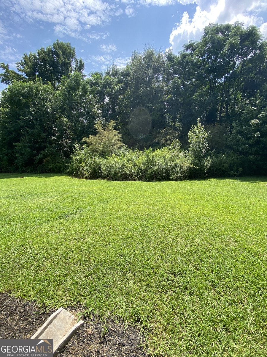 372 McCart Road McDonough - Photo 15