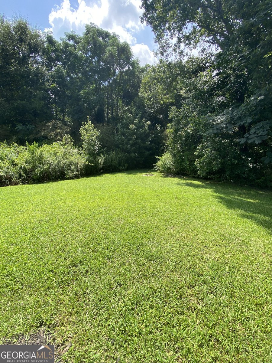 372 McCart Road McDonough - Photo 16