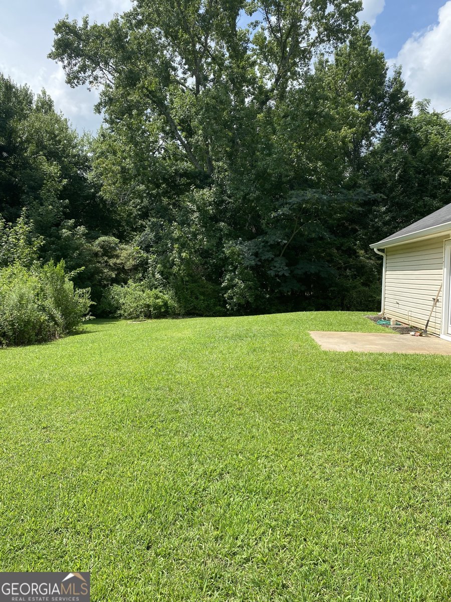 372 McCart Road McDonough - Photo 18