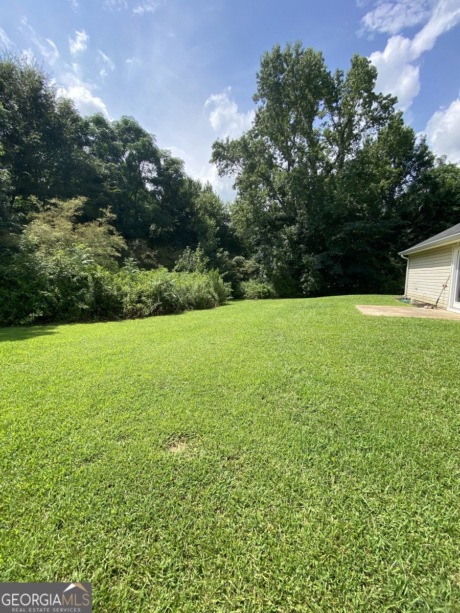 372 McCart Road McDonough - Photo 19