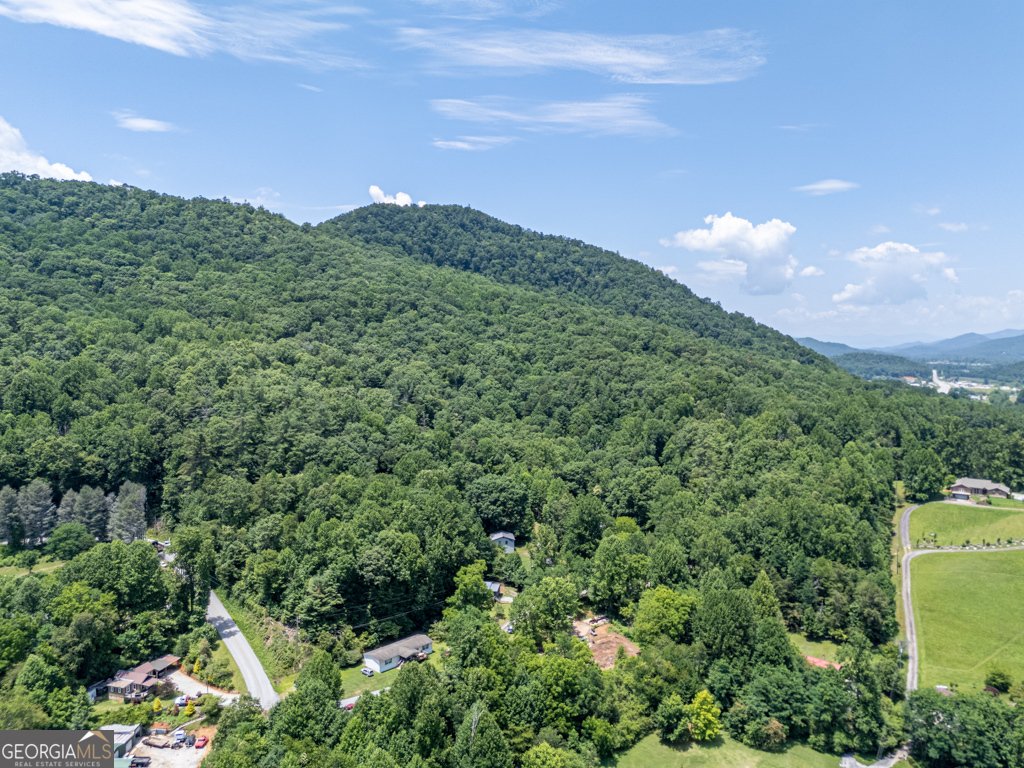 61 Rogers Cove Lane Clayton - Photo 32