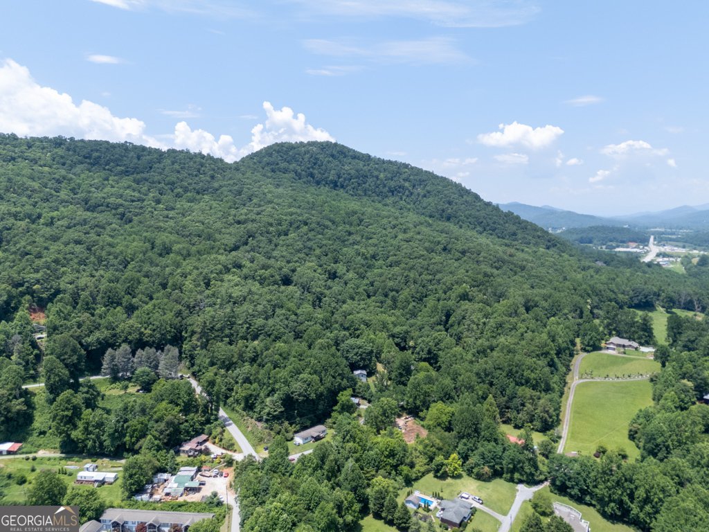 61 Rogers Cove Lane Clayton - Photo 33