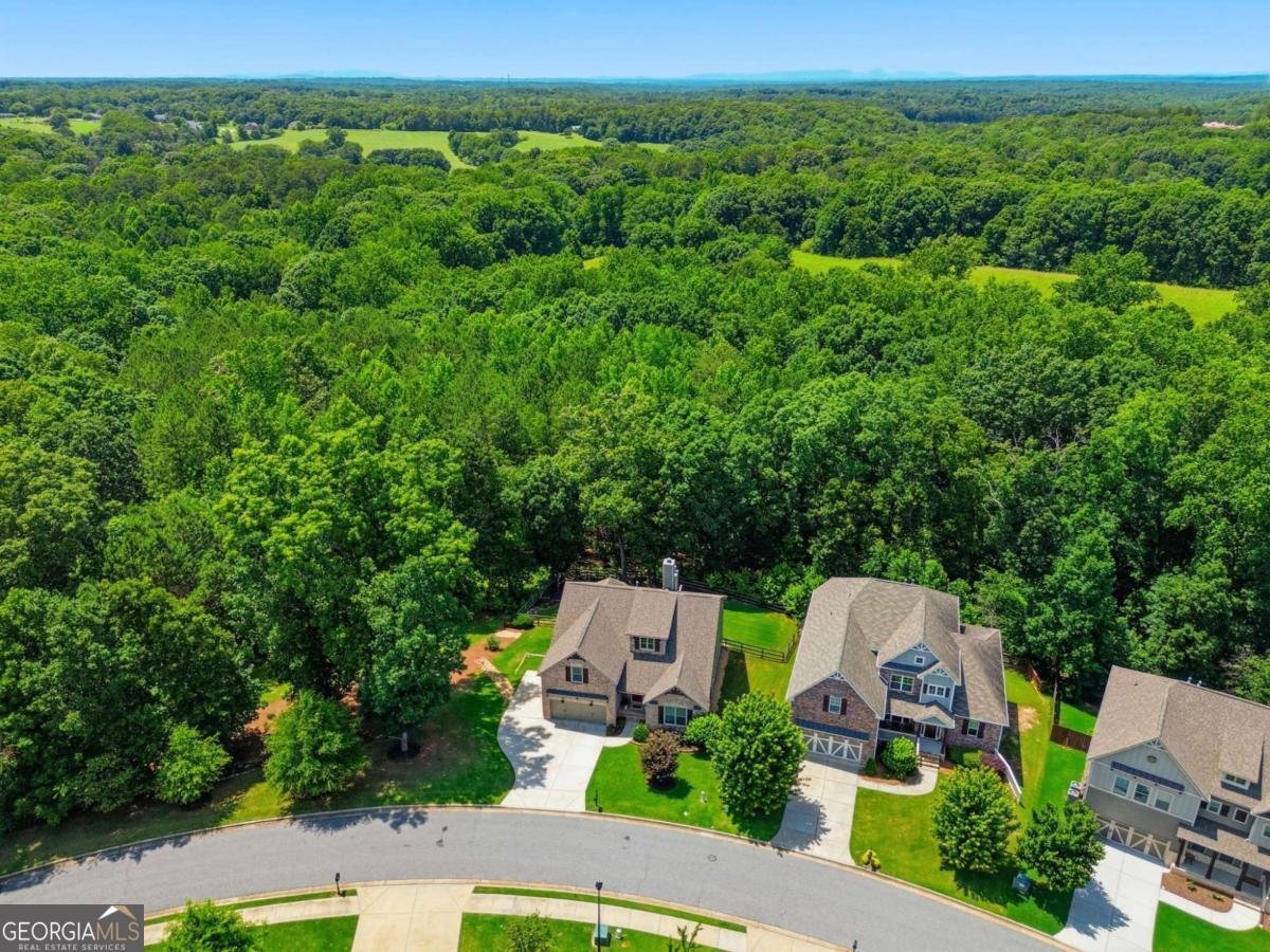 5740 Winding Lakes Drive Cumming - Photo 48