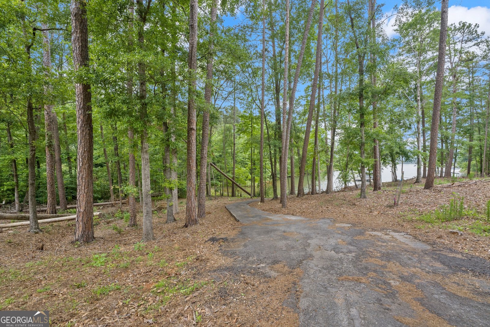 679 Suttles Road Martin - Photo 24