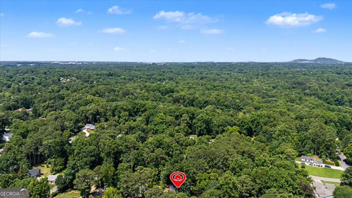 265 Pinetree Drive Marietta - Photo 50