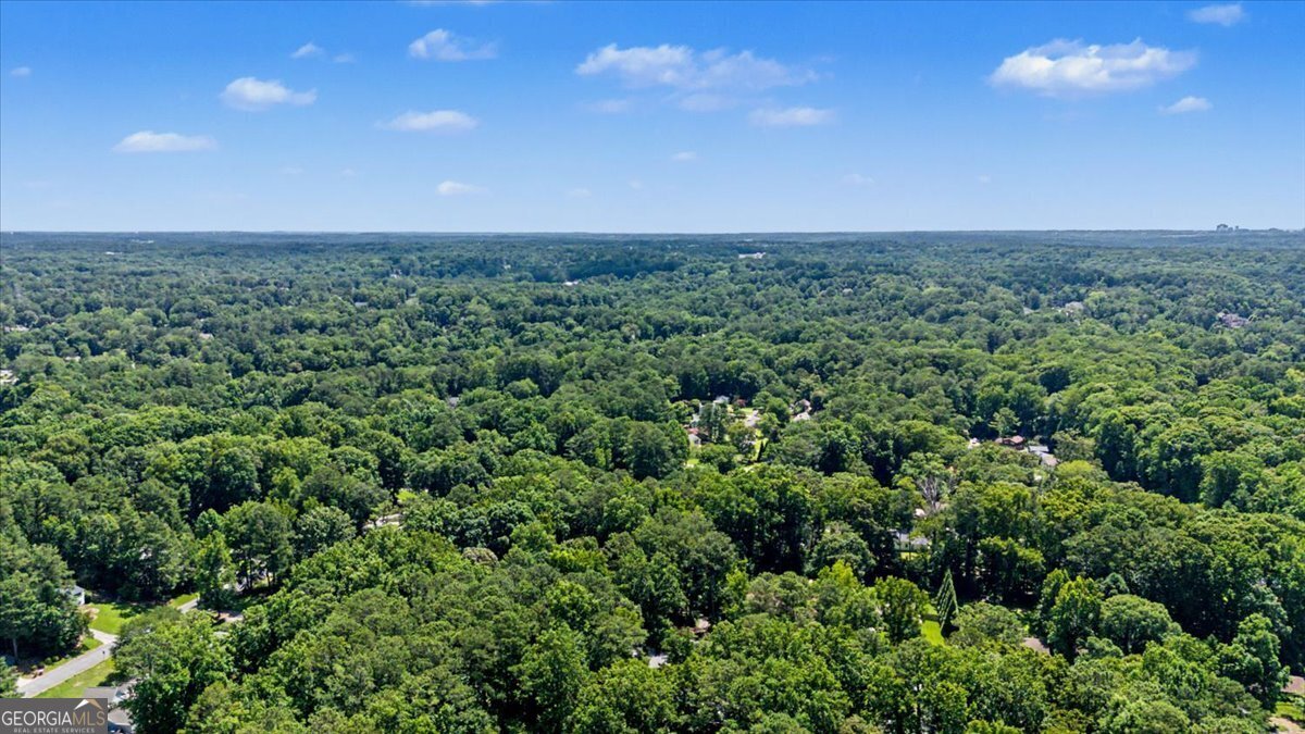265 Pinetree Drive Marietta - Photo 51