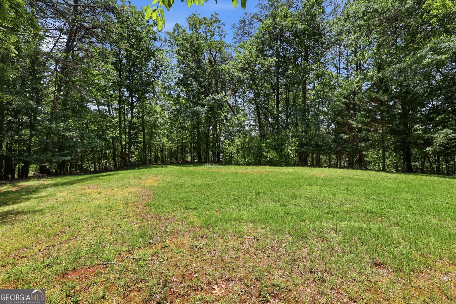 925 Horseshoe Bend Road Dahlonega - Photo 61