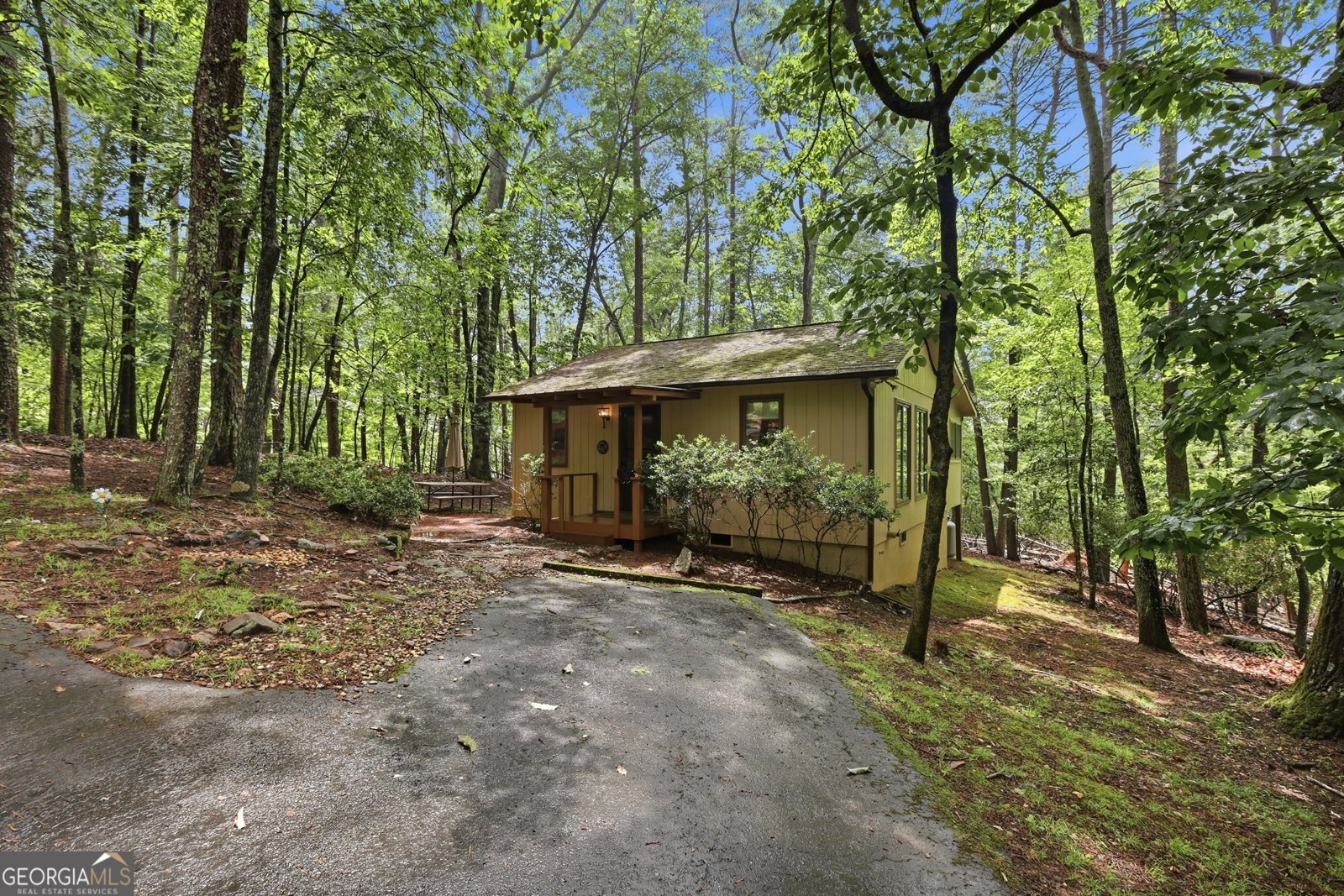 925 Horseshoe Bend Road Dahlonega - Photo 62