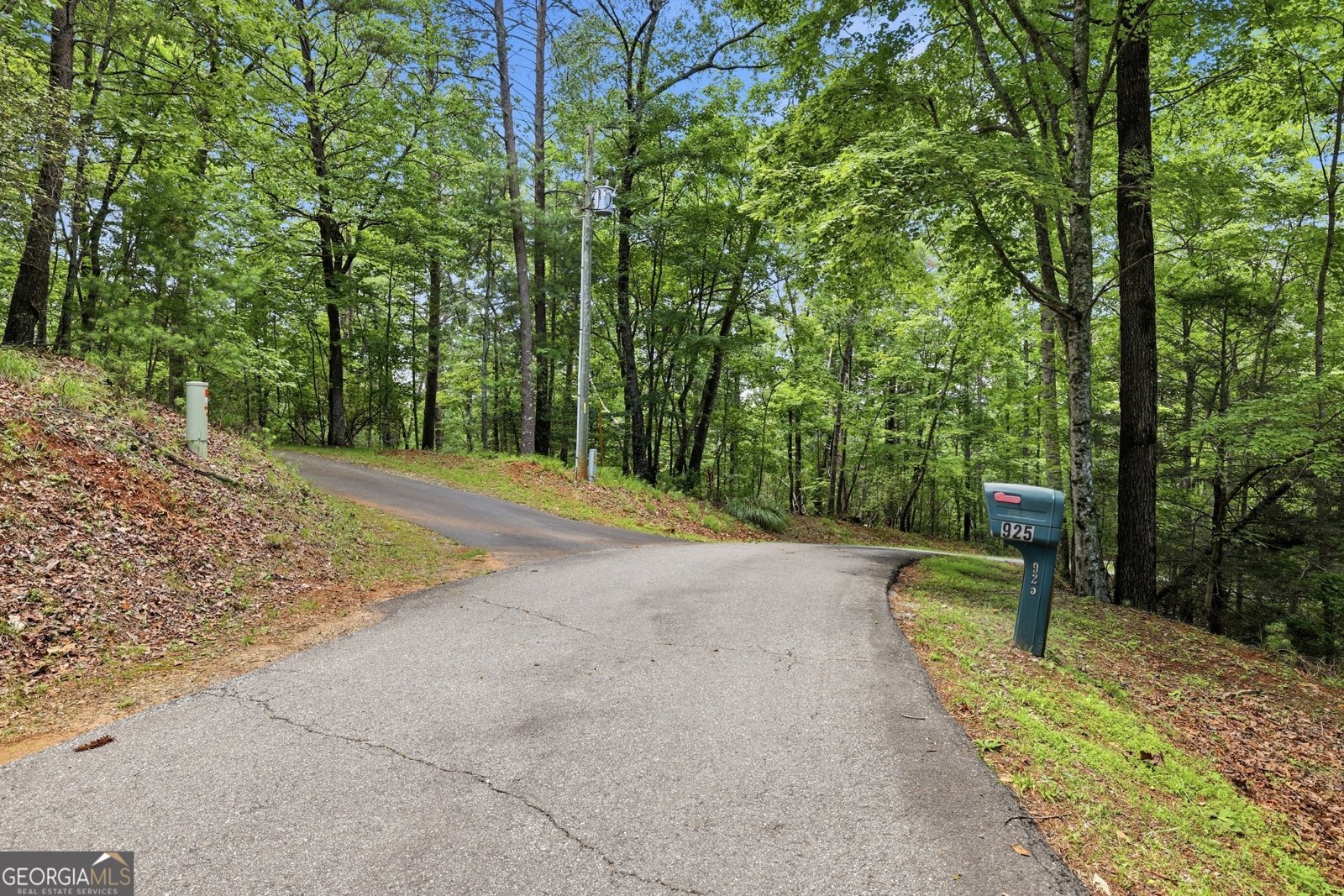 925 Horseshoe Bend Road Dahlonega - Photo 76
