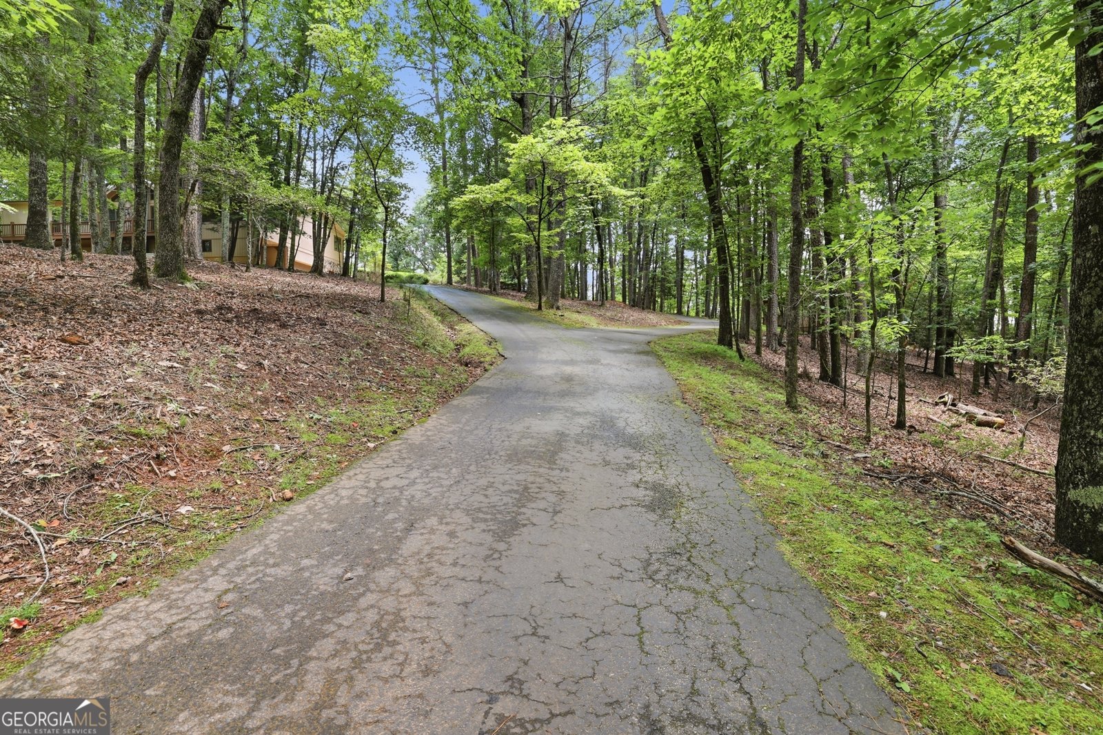 925 Horseshoe Bend Road Dahlonega - Photo 77